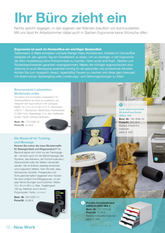 Bildansicht der Seite